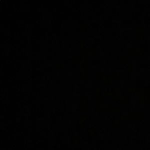 Meet your Posher, Will